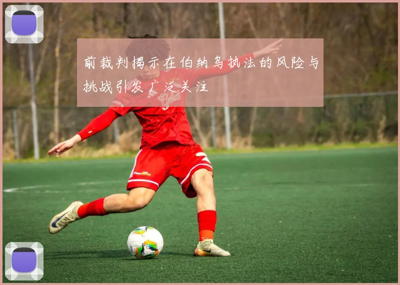 前裁判揭示在伯纳乌执法的风险与挑战引发广泛关注