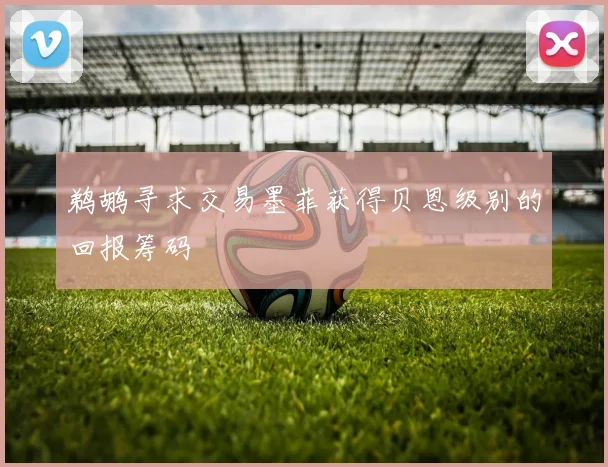 鹈鹕寻求交易墨菲获得贝恩级别的回报筹码